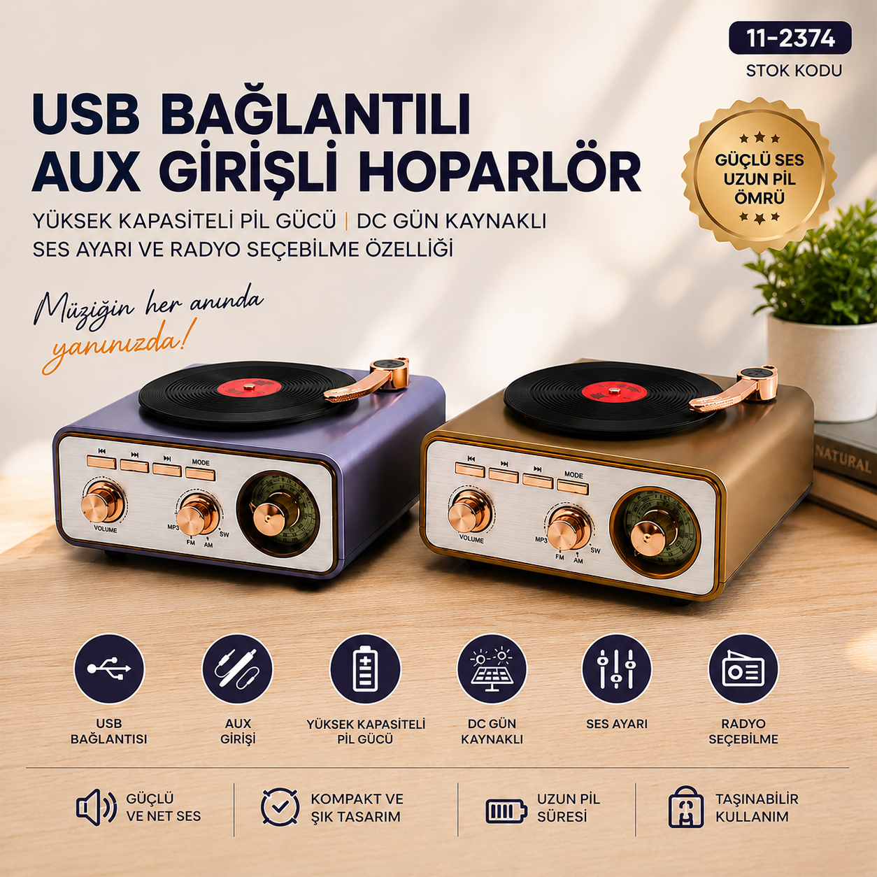 Bluetooth FM Radyo USB/MP3 Taşınabilir Hoparlör (İbreli)